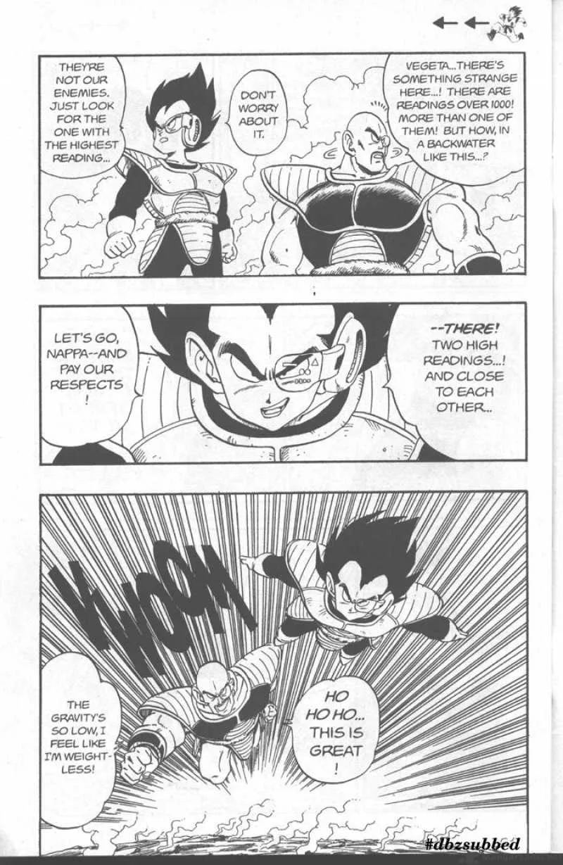 Dragon Ball Chapter 213 page 8
