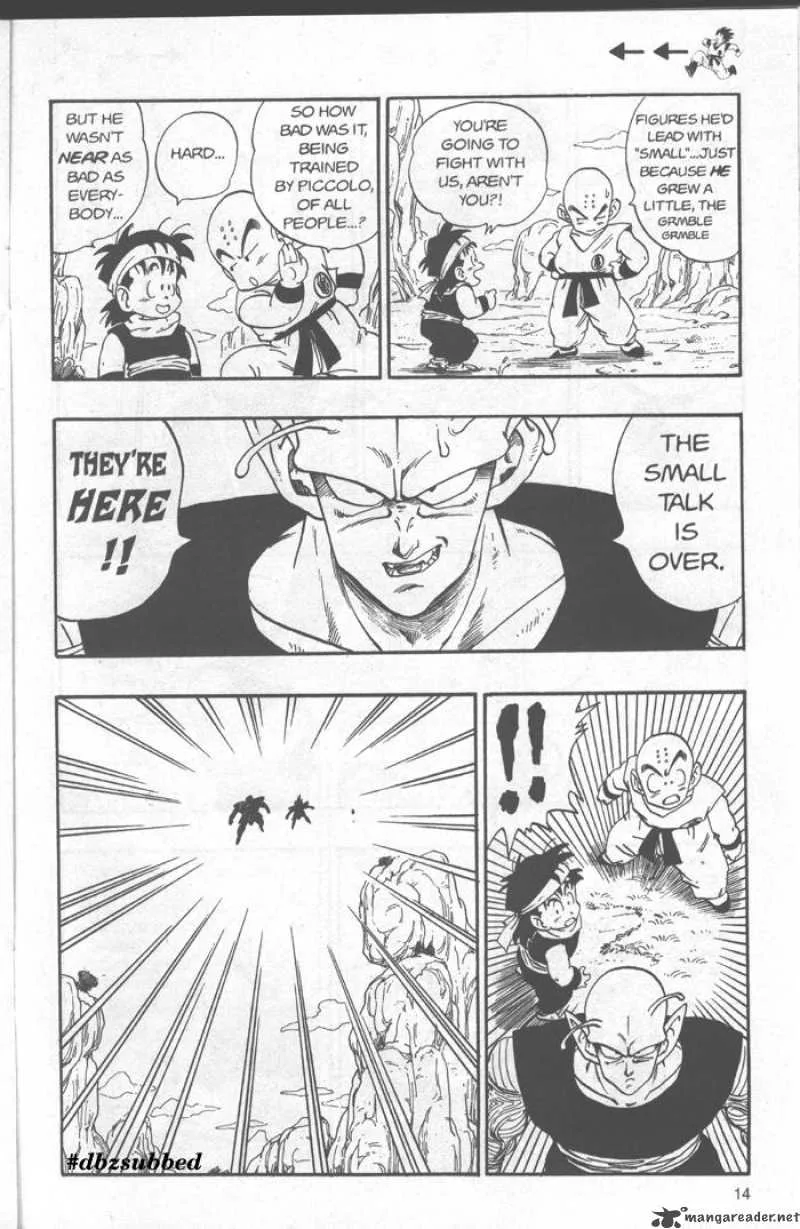 Dragon Ball Chapter 213 page 13