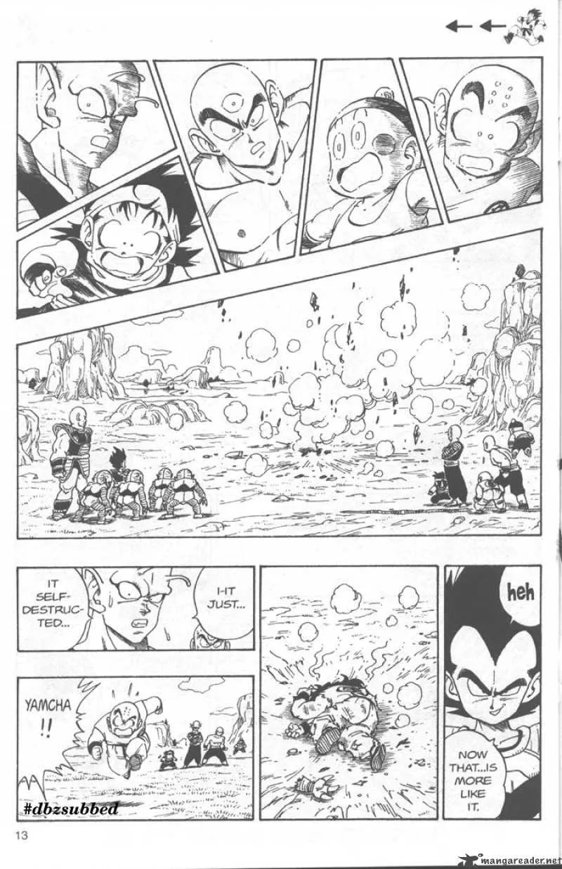 Dragon Ball Chapter 215 page 13