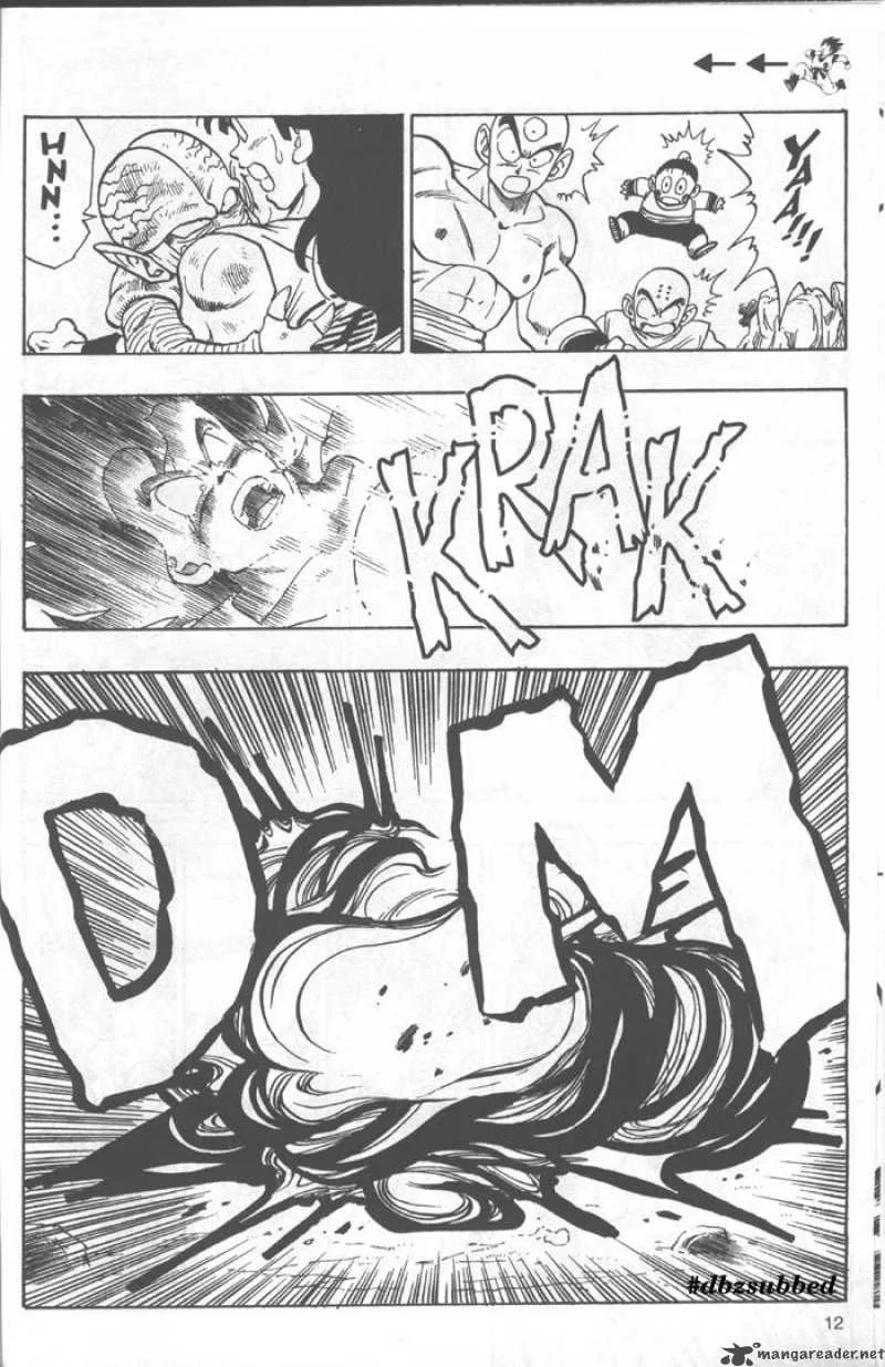 Dragon Ball Chapter 215 page 12