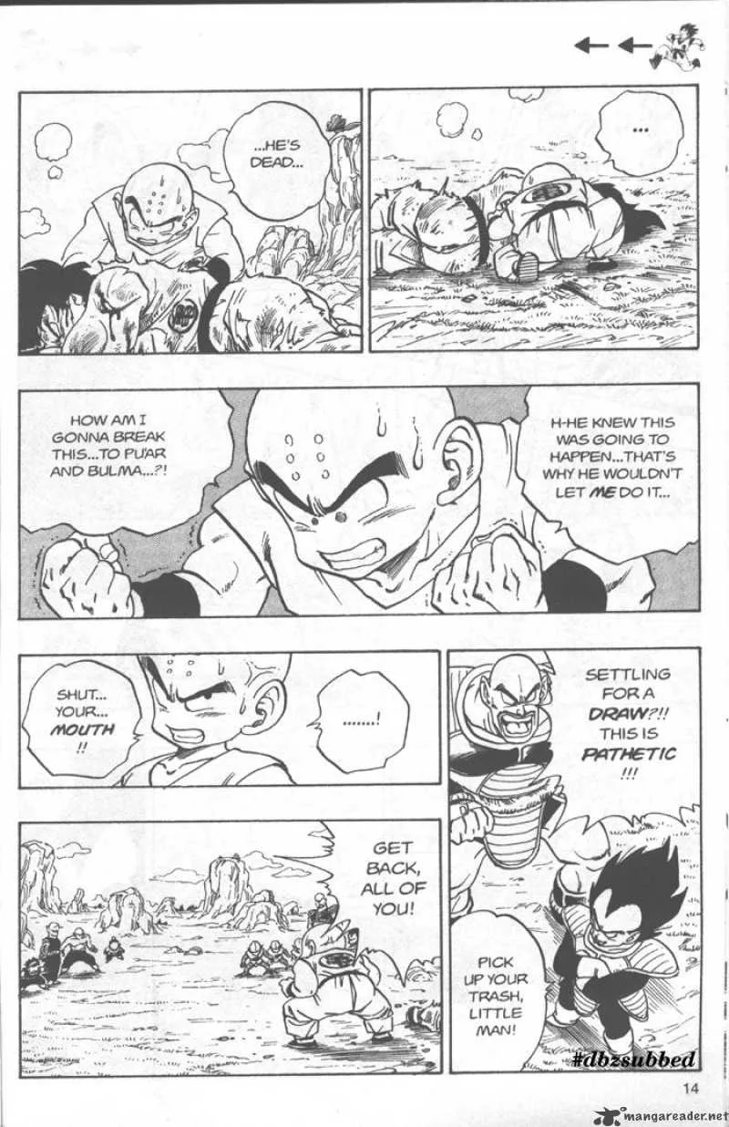 Dragon Ball Chapter 215 page 14