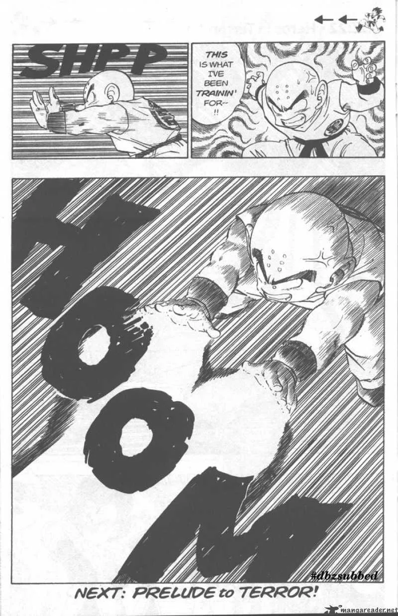 Dragon Ball Chapter 215 page 15
