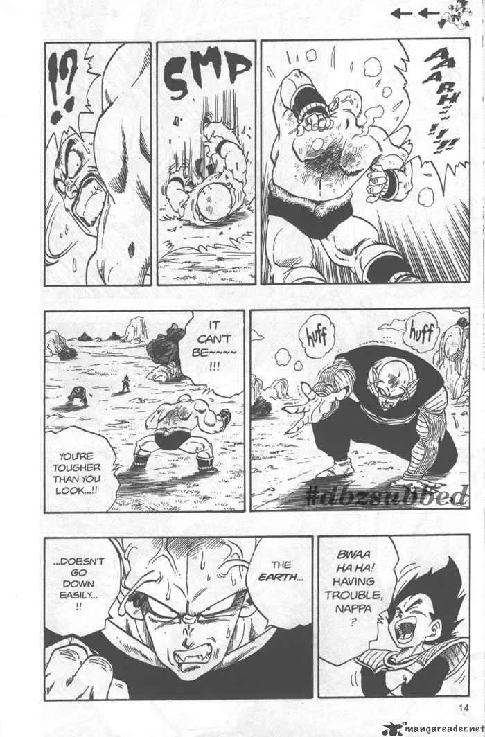 Dragon Ball Chapter 221 page 13