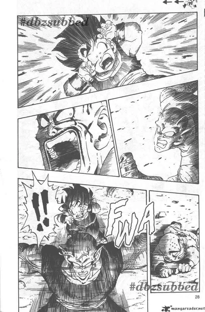 Dragon Ball Chapter 222 page 13