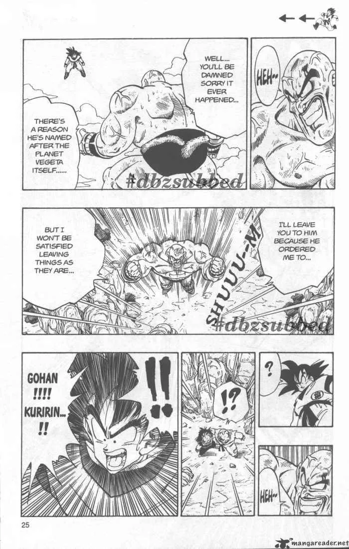 Dragon Ball Chapter 226 page 10