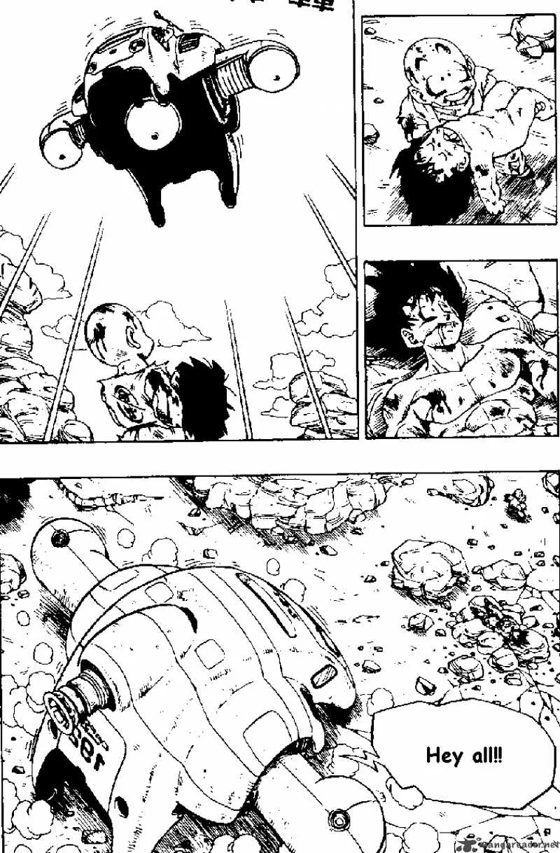 Dragon Ball Chapter 242 page 1