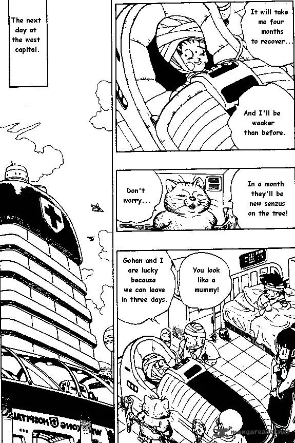 Dragon Ball Chapter 243 page 9