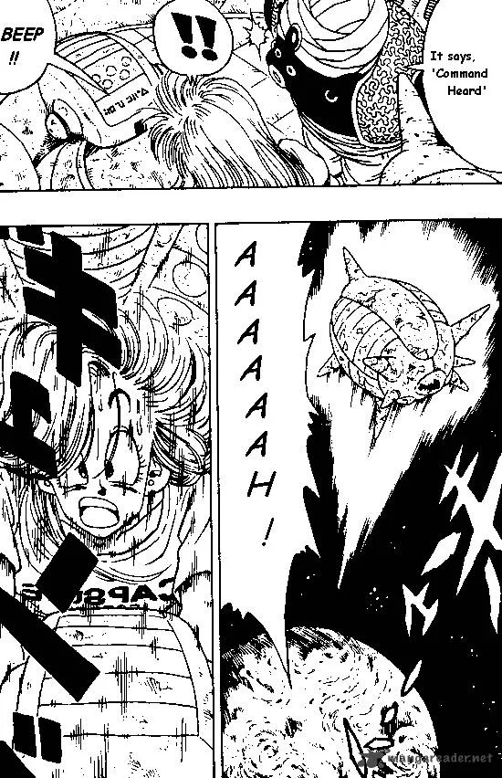 Dragon Ball Chapter 244 page 13