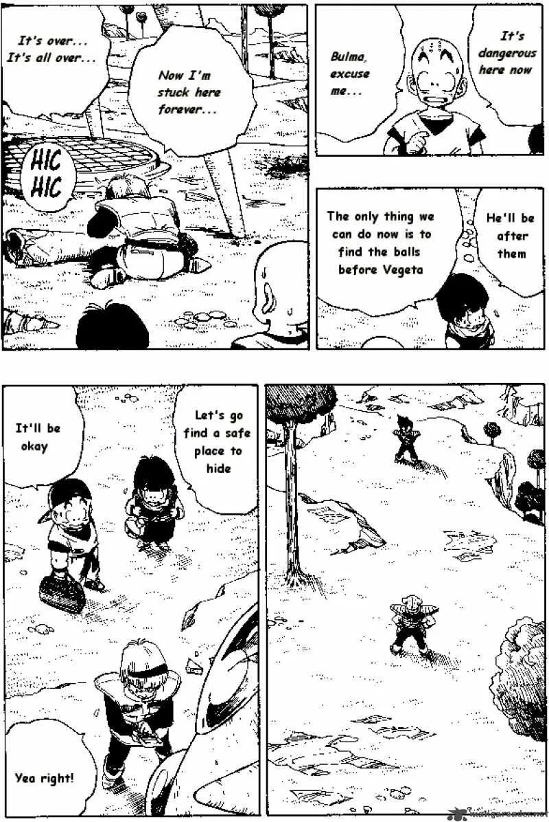 Dragon Ball Chapter 248 page 13