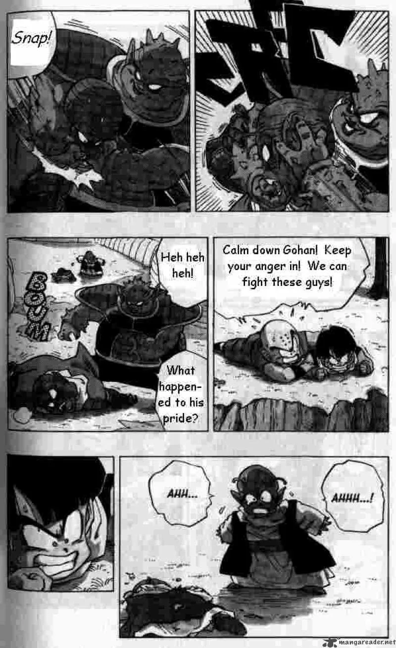 Dragon Ball Chapter 255 page 5
