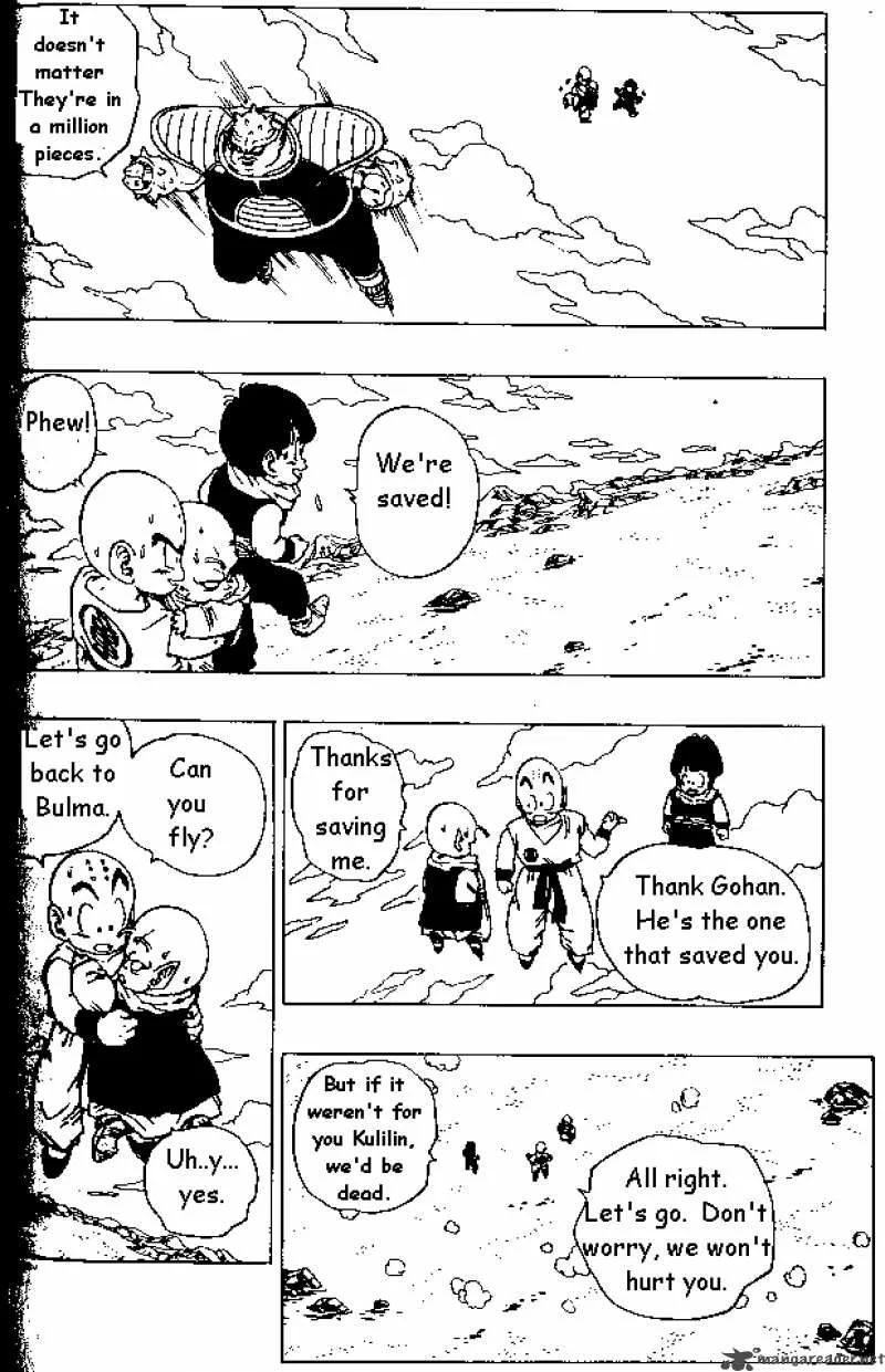 Dragon Ball Chapter 256 page 12