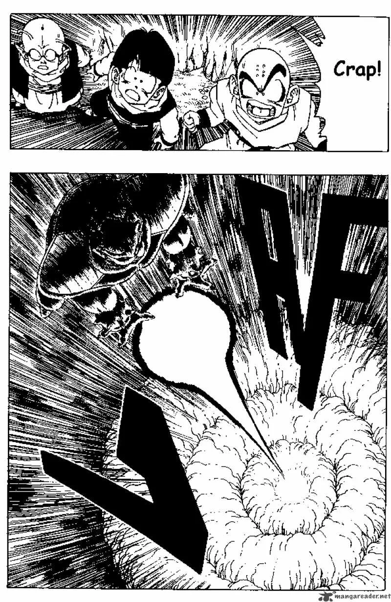 Dragon Ball Chapter 256 page 9
