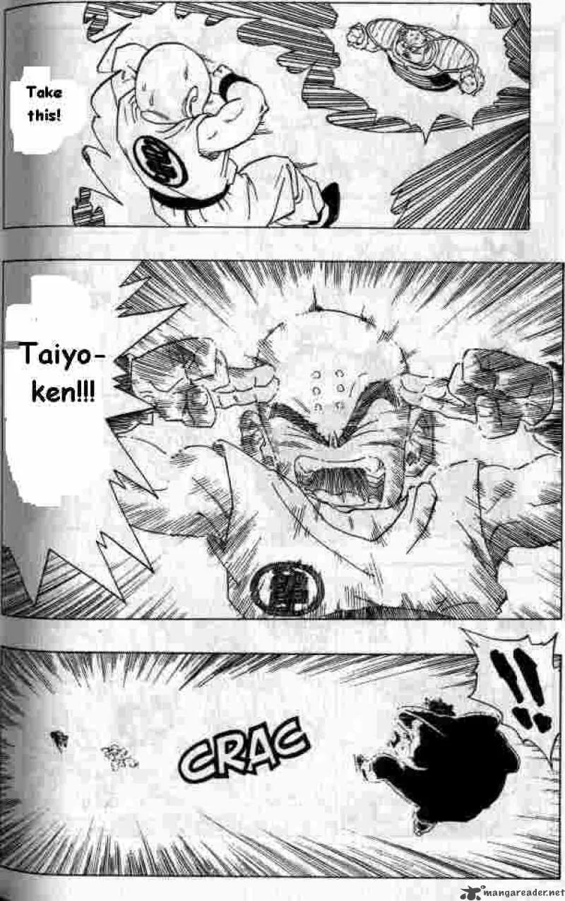 Dragon Ball Chapter 256 page 4