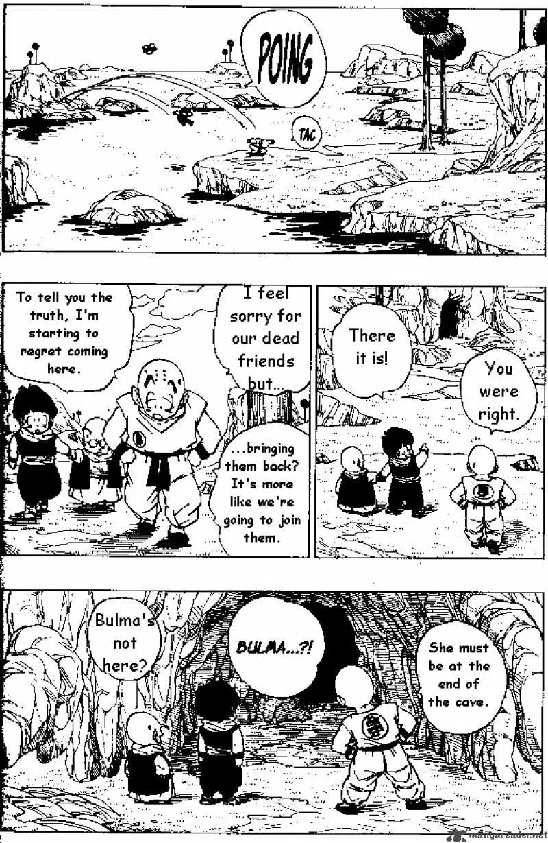 Dragon Ball Chapter 258 page 10