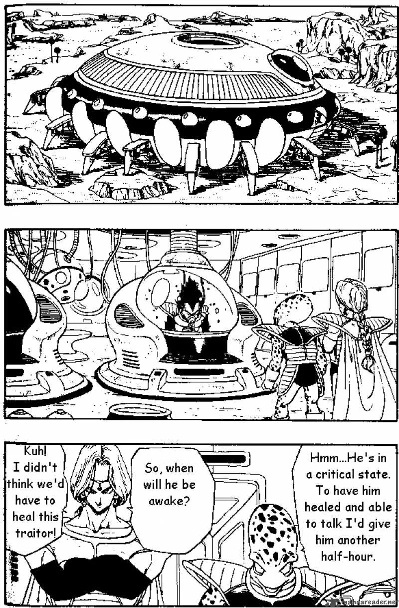 Dragon Ball Chapter 265 page 11