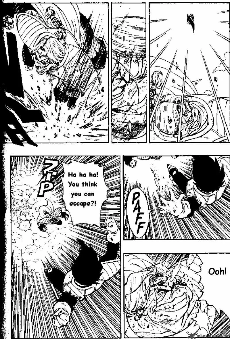 Dragon Ball Chapter 267 page 13