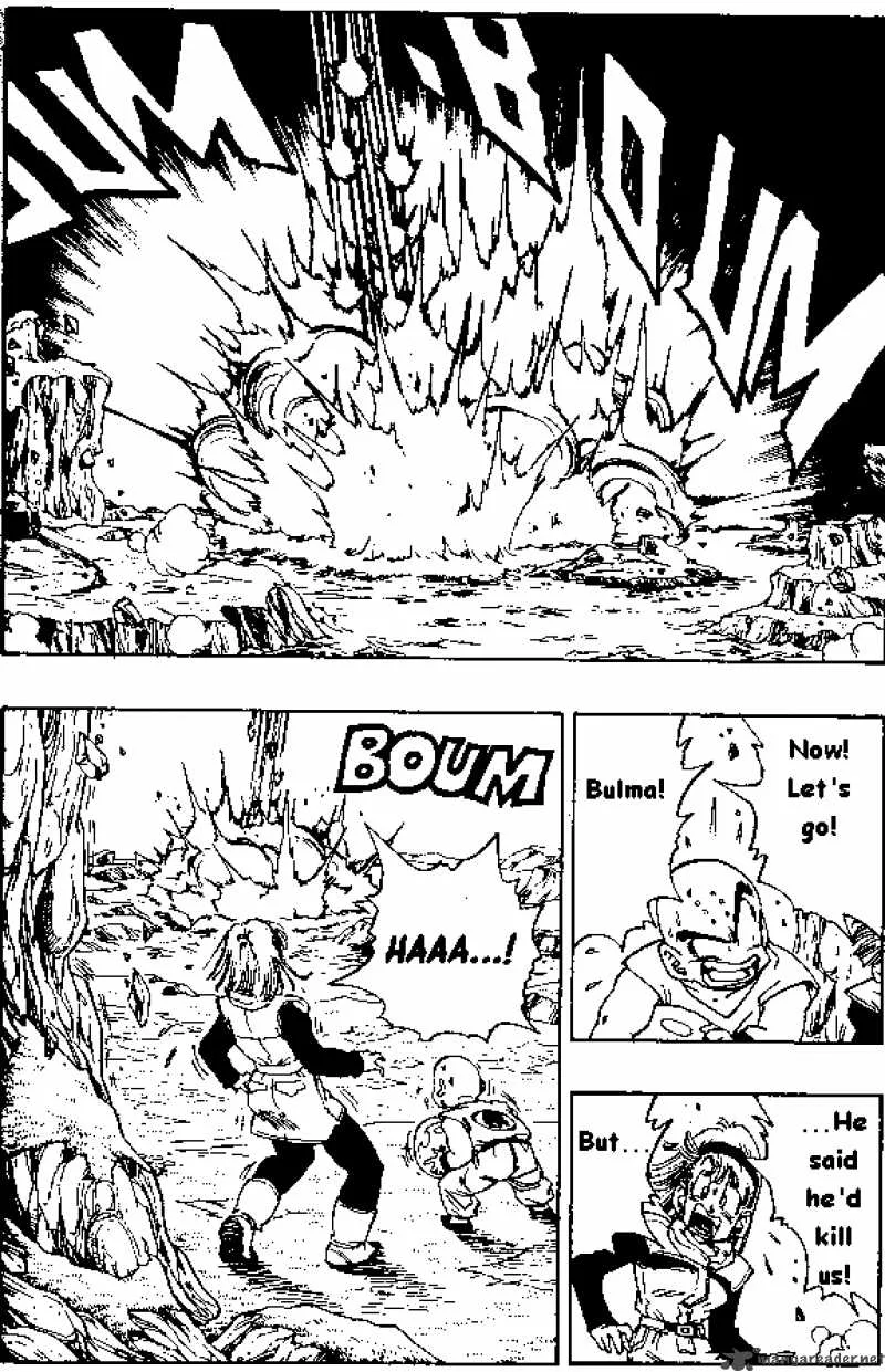 Dragon Ball Chapter 268 page 4