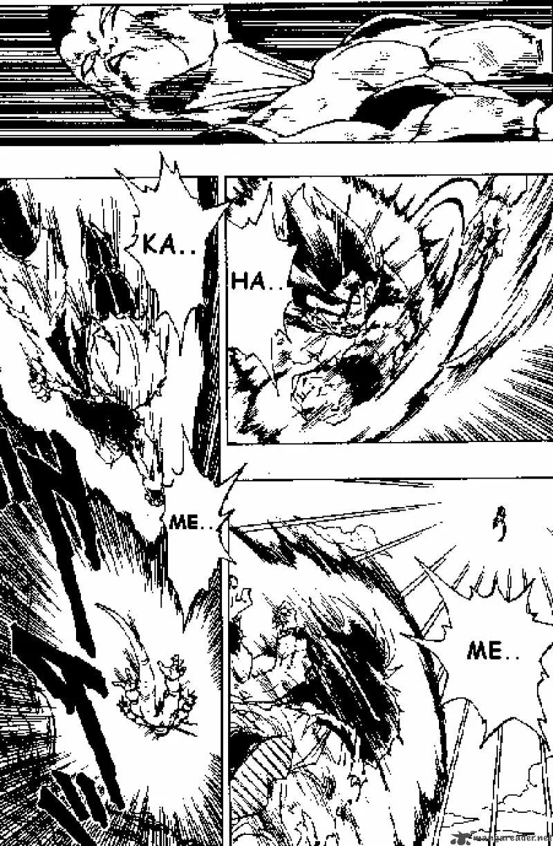Dragon Ball Chapter 313 page 11