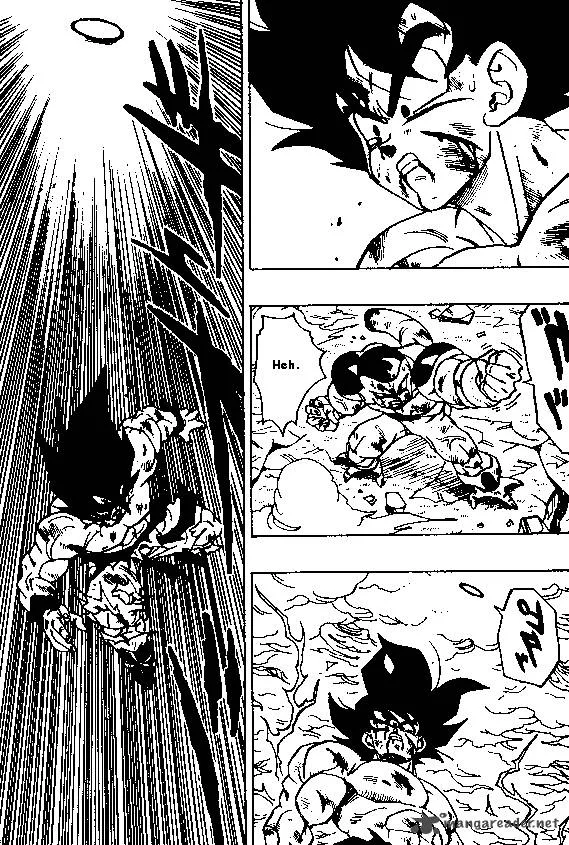 Dragon Ball Chapter 325 page 13