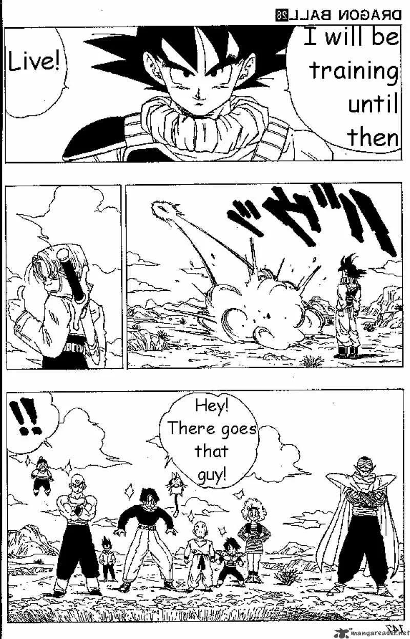 Dragon Ball Chapter 335 page 10