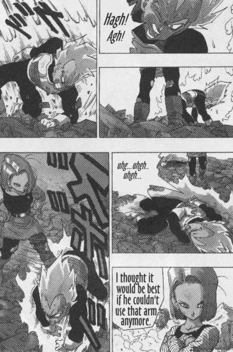 Dragon Ball Chapter 354 page 13