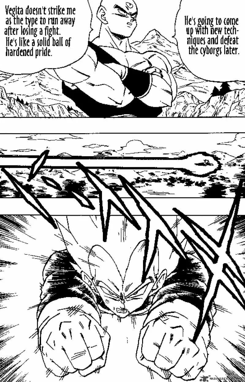 Dragon Ball Chapter 355 page 13