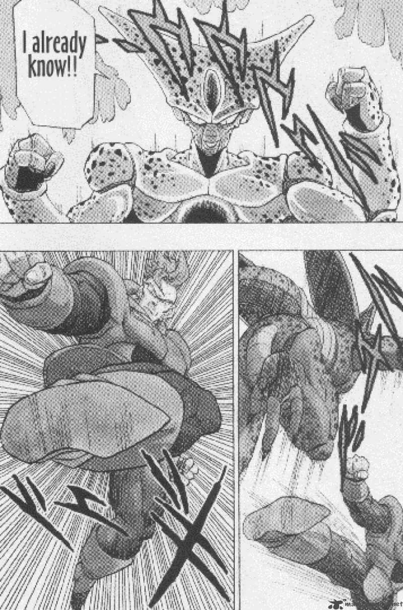 Dragon Ball Chapter 371 page 13