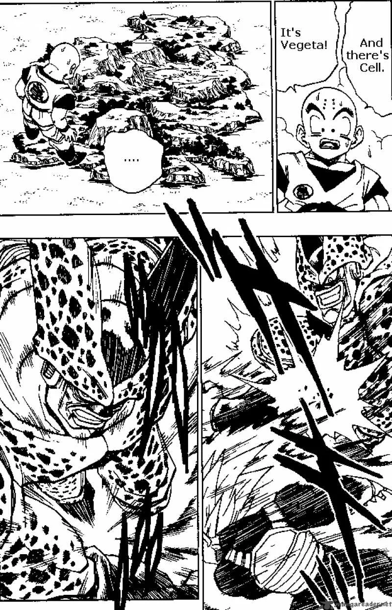 Dragon Ball Chapter 378 page 12