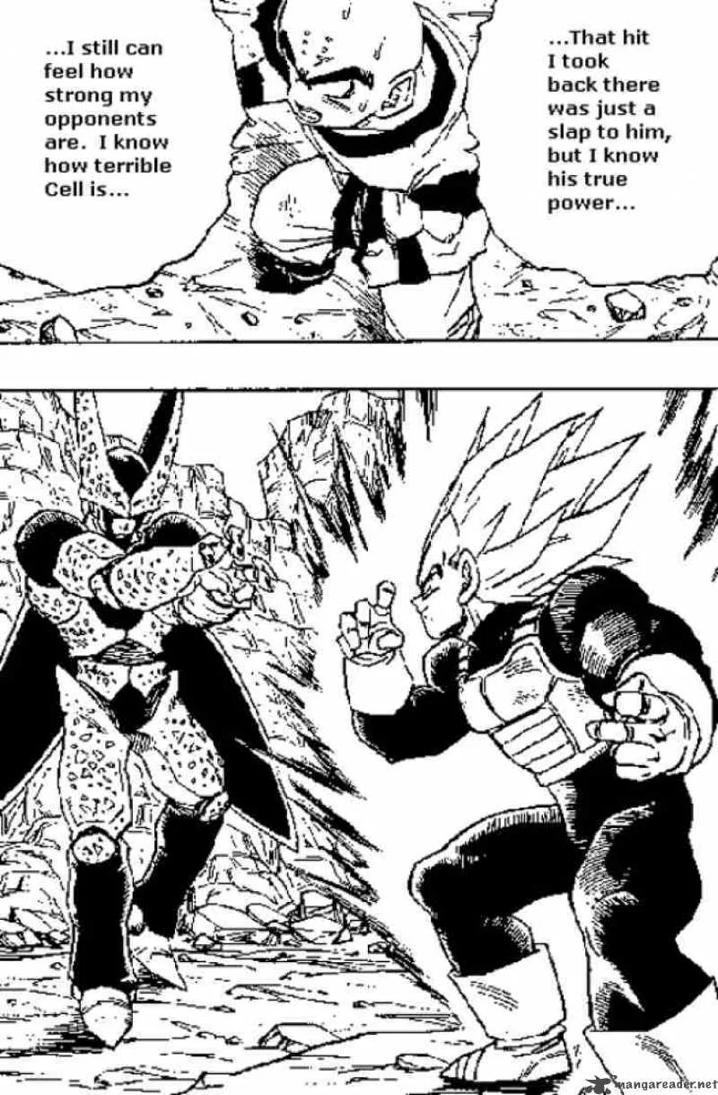 Dragon Ball Chapter 383 page 5