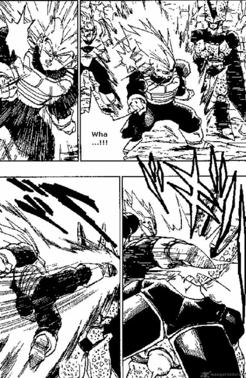 Dragon Ball Chapter 383 page 13