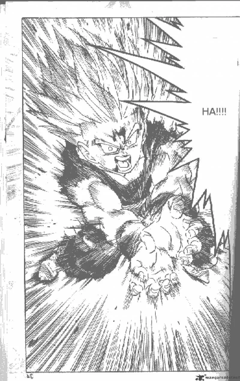Dragon Ball Chapter 411 page 12