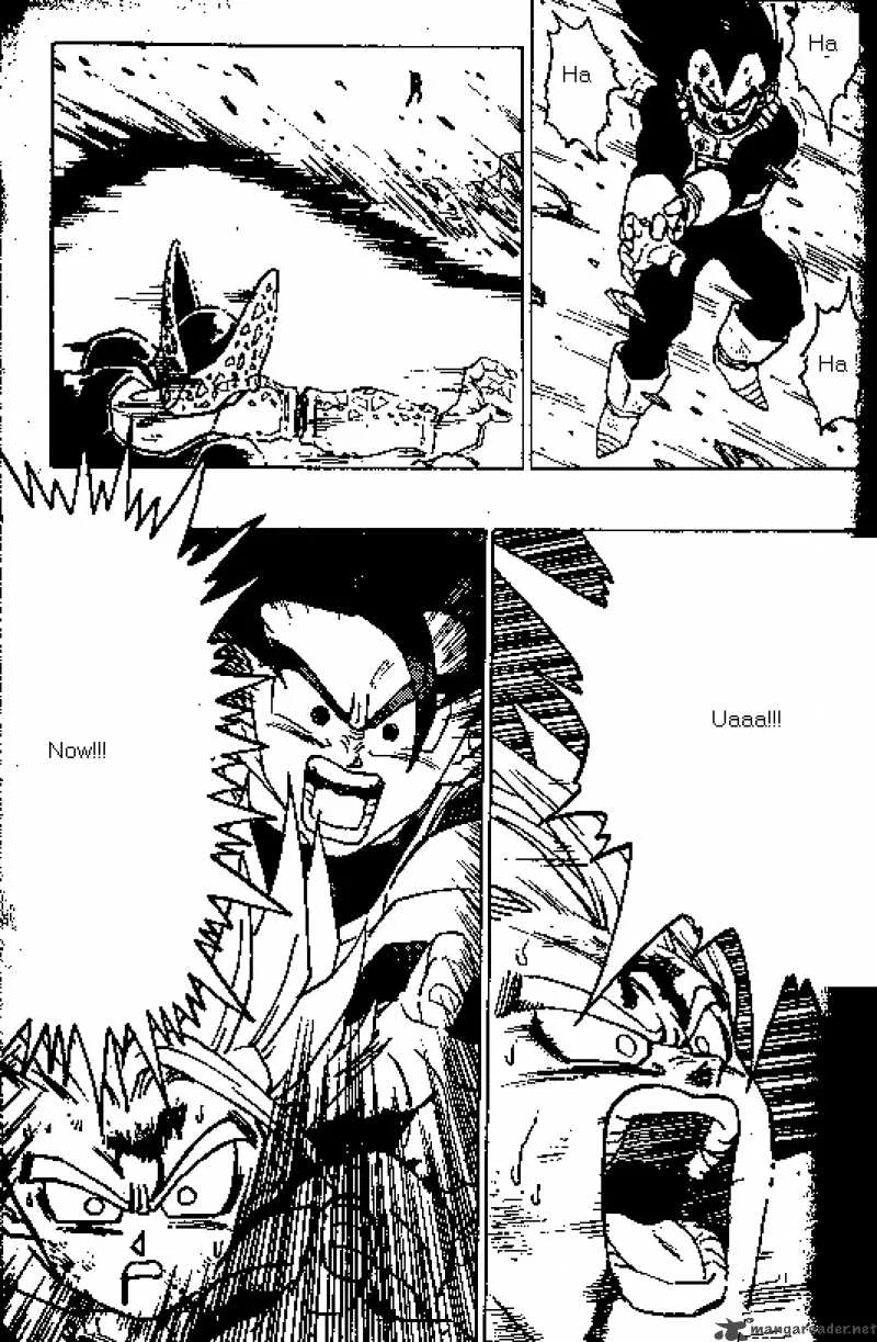 Dragon Ball Chapter 417 page 8