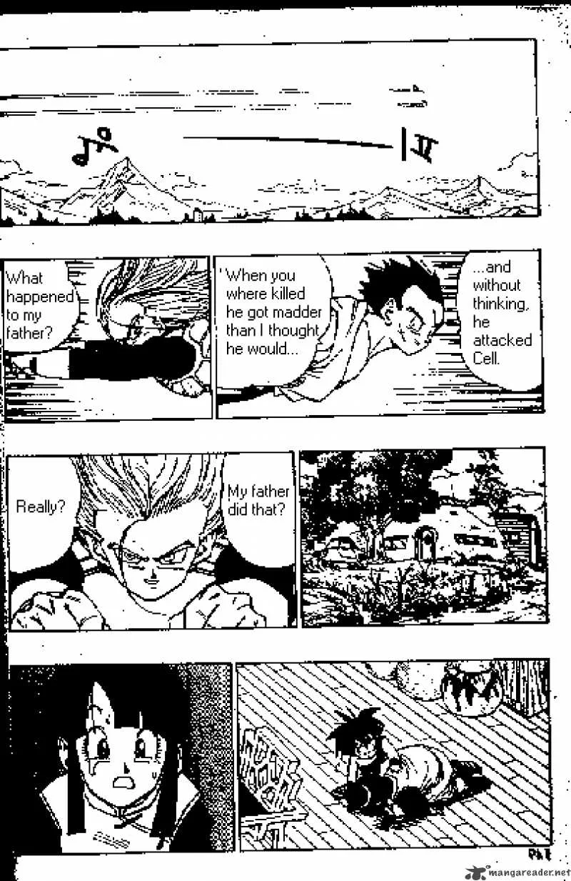 Dragon Ball Chapter 419 page 13