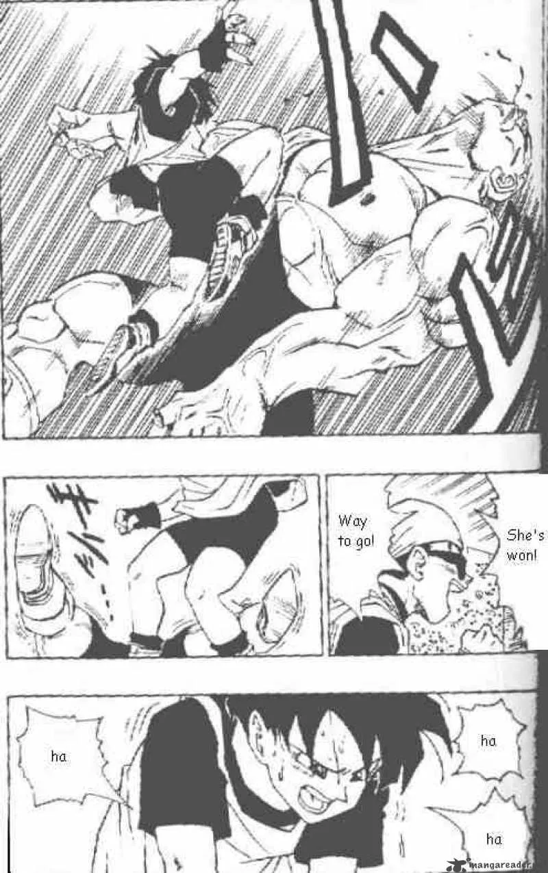 Dragon Ball Chapter 441 page 12