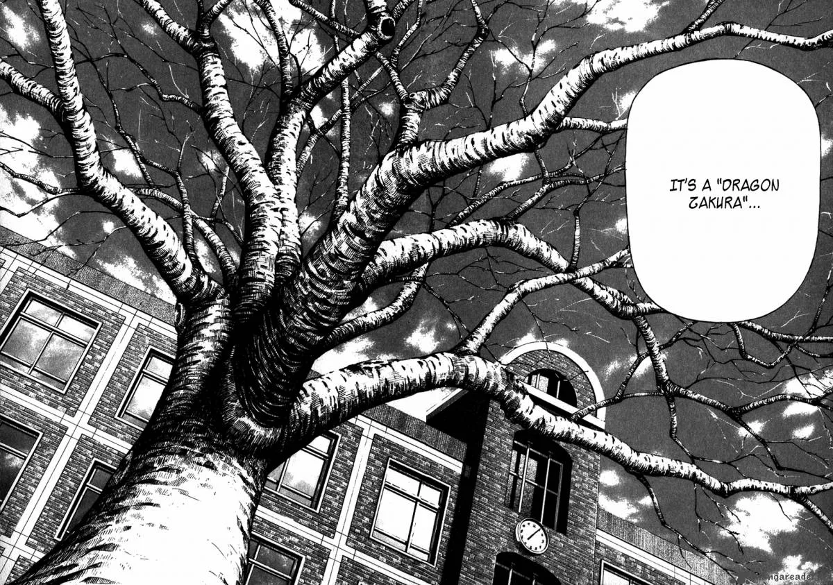 Dragon Zakura Chapter 2 page 16