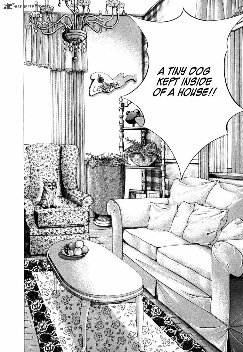 Dragon Zakura Chapter 49 page 9