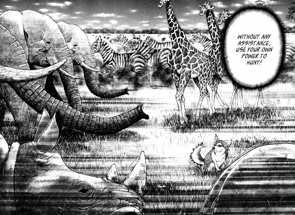 Dragon Zakura Chapter 49 page 13