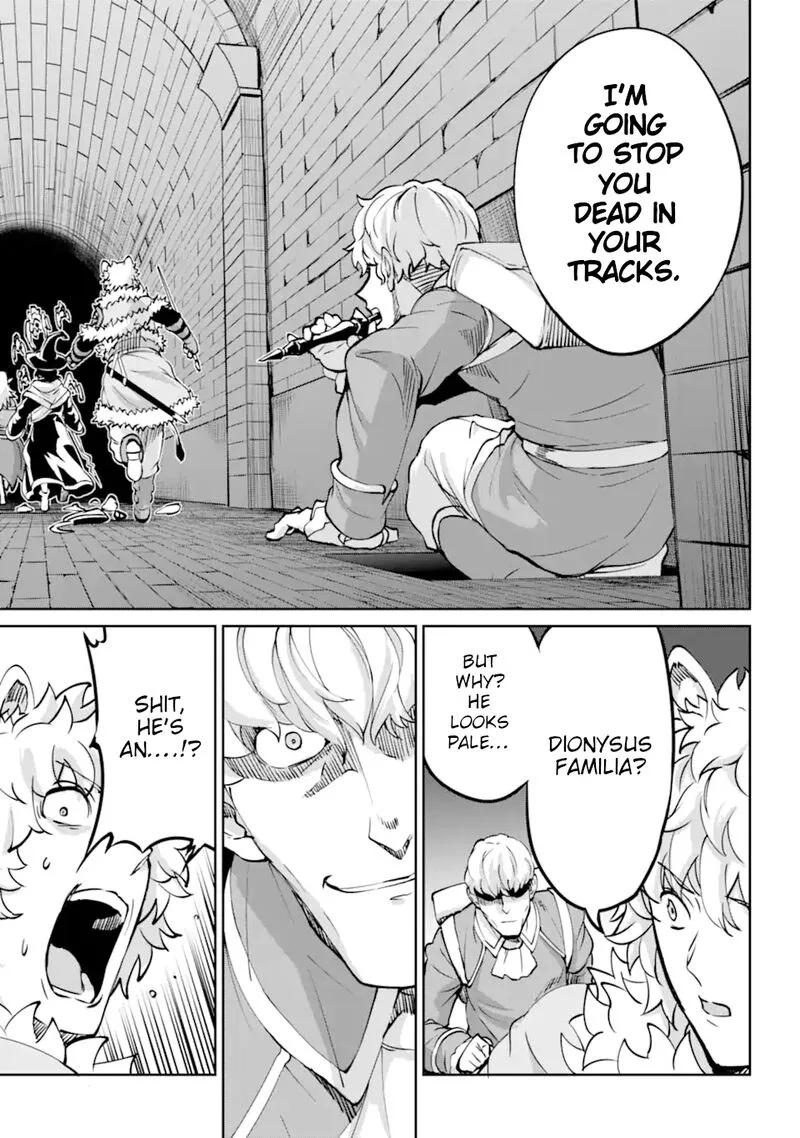 Dungeon ni Deai wo Motomeru no wa Machigatte Iru Darou ka Gaiden - Sword Oratoria Chapter 101 page 33