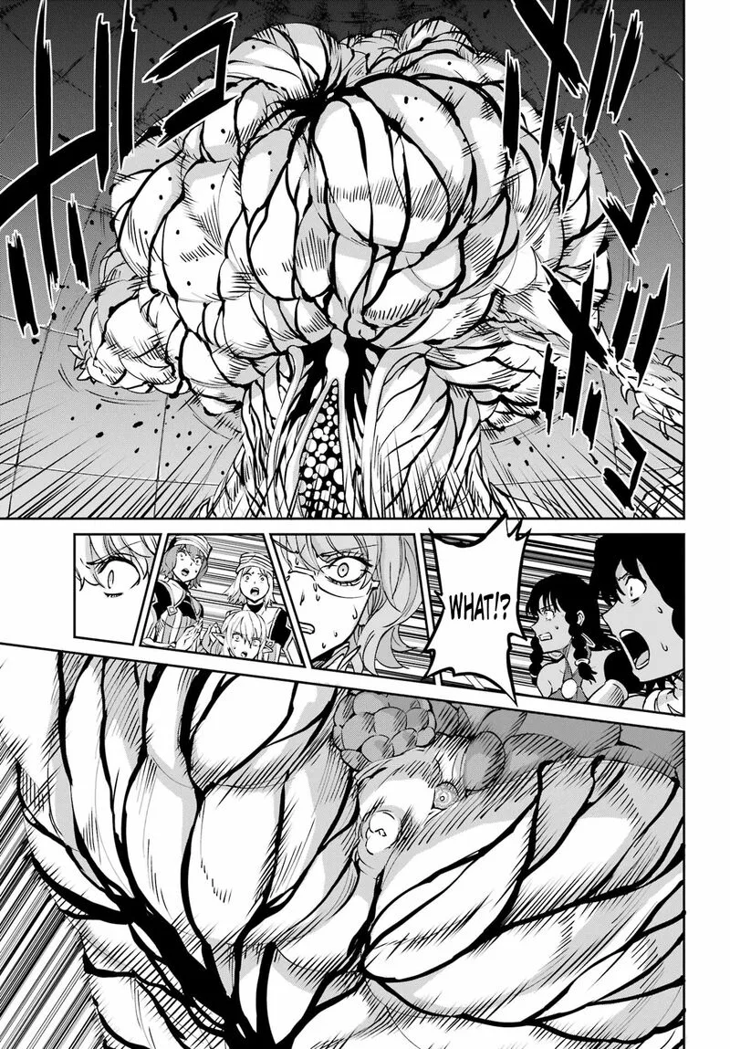 Dungeon ni Deai wo Motomeru no wa Machigatte Iru Darou ka Gaiden - Sword Oratoria Chapter 105 page 30