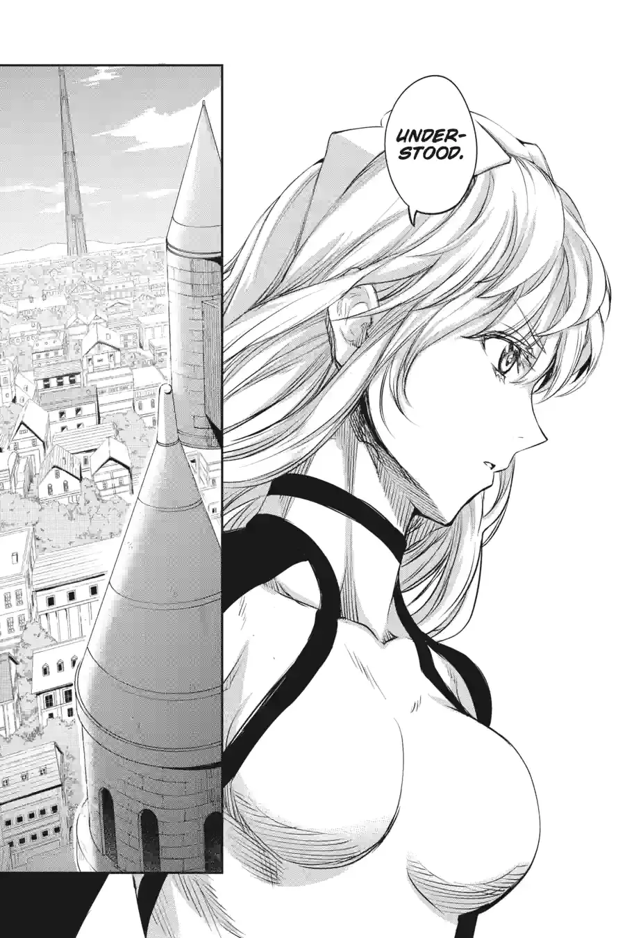 Dungeon ni Deai wo Motomeru no wa Machigatte Iru Darou ka Gaiden - Sword Oratoria Chapter 198 page 11