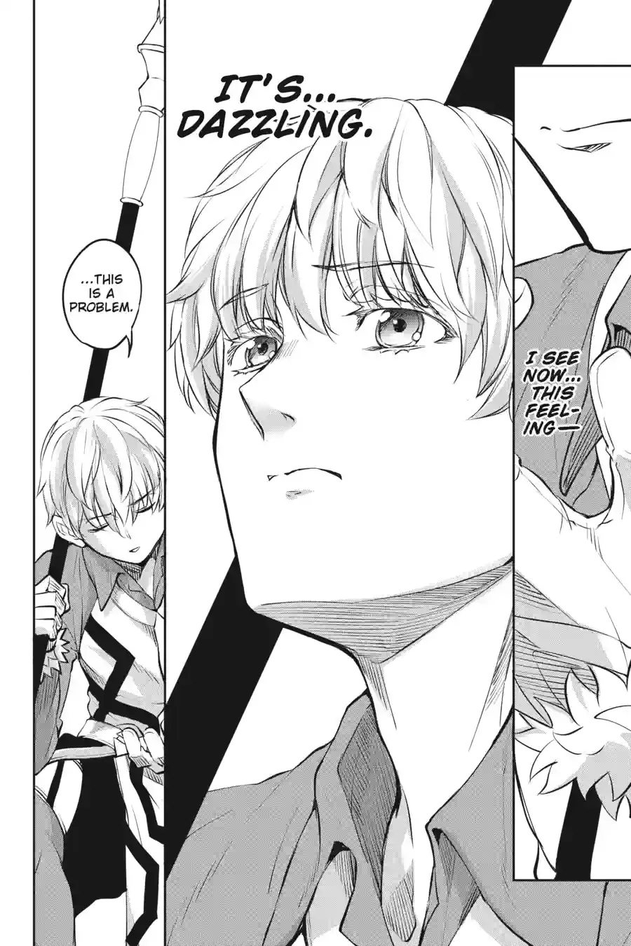 Dungeon ni Deai wo Motomeru no wa Machigatte Iru Darou ka Gaiden - Sword Oratoria Chapter 215 page 9