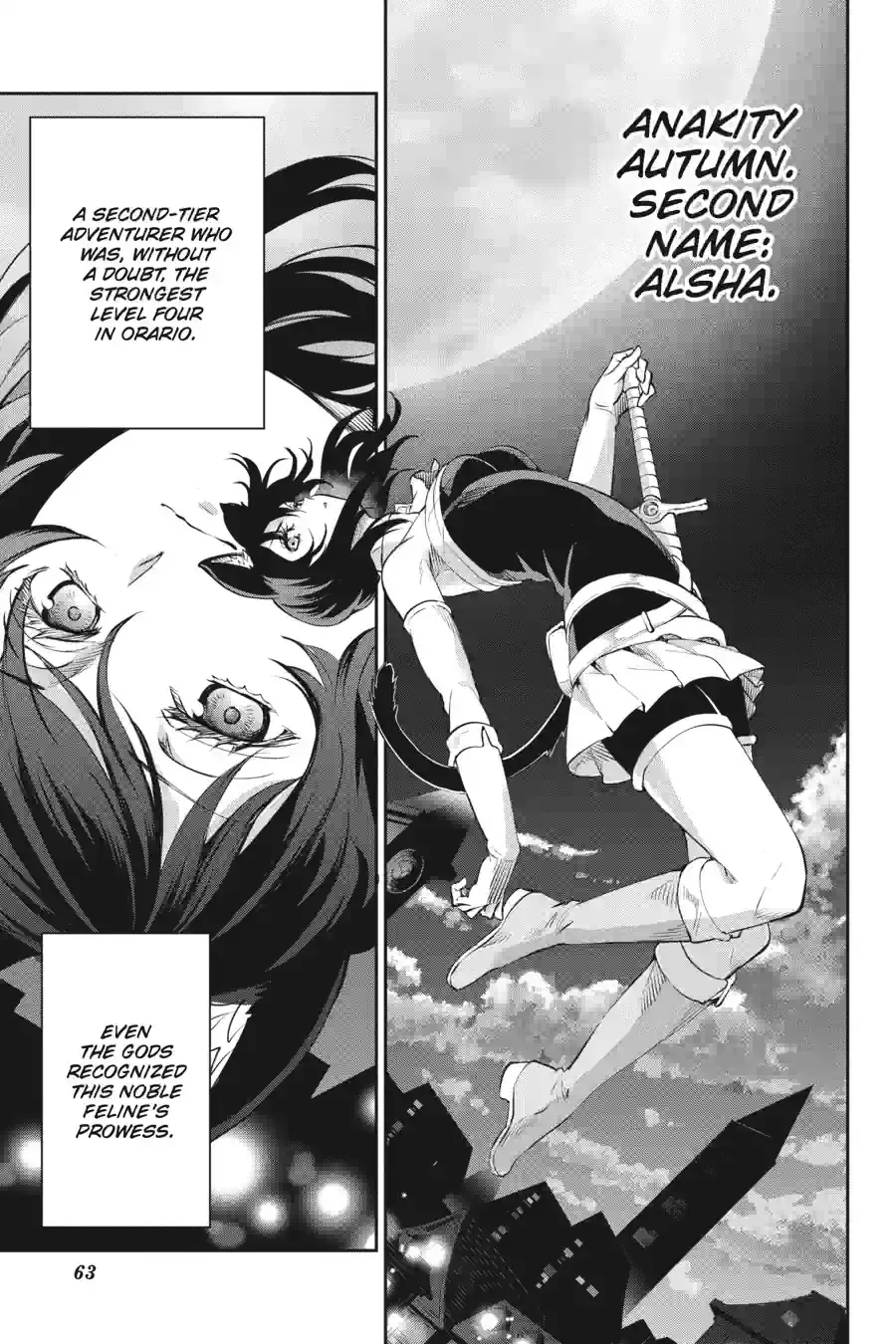 Dungeon ni Deai wo Motomeru no wa Machigatte Iru Darou ka Gaiden - Sword Oratoria Chapter 228 page 15