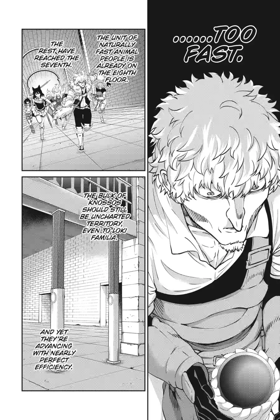 Dungeon ni Deai wo Motomeru no wa Machigatte Iru Darou ka Gaiden - Sword Oratoria Chapter 273 page 3