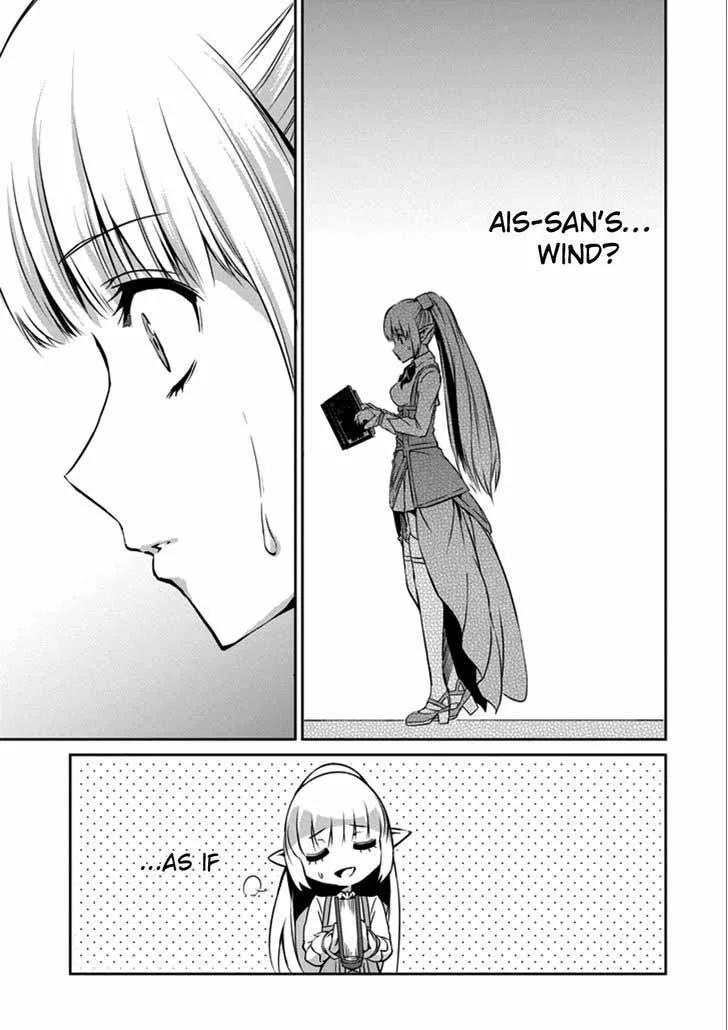 Dungeon ni Deai wo Motomeru no wa Machigatte Iru Darou ka Gaiden - Sword Oratoria Chapter 29 page 25