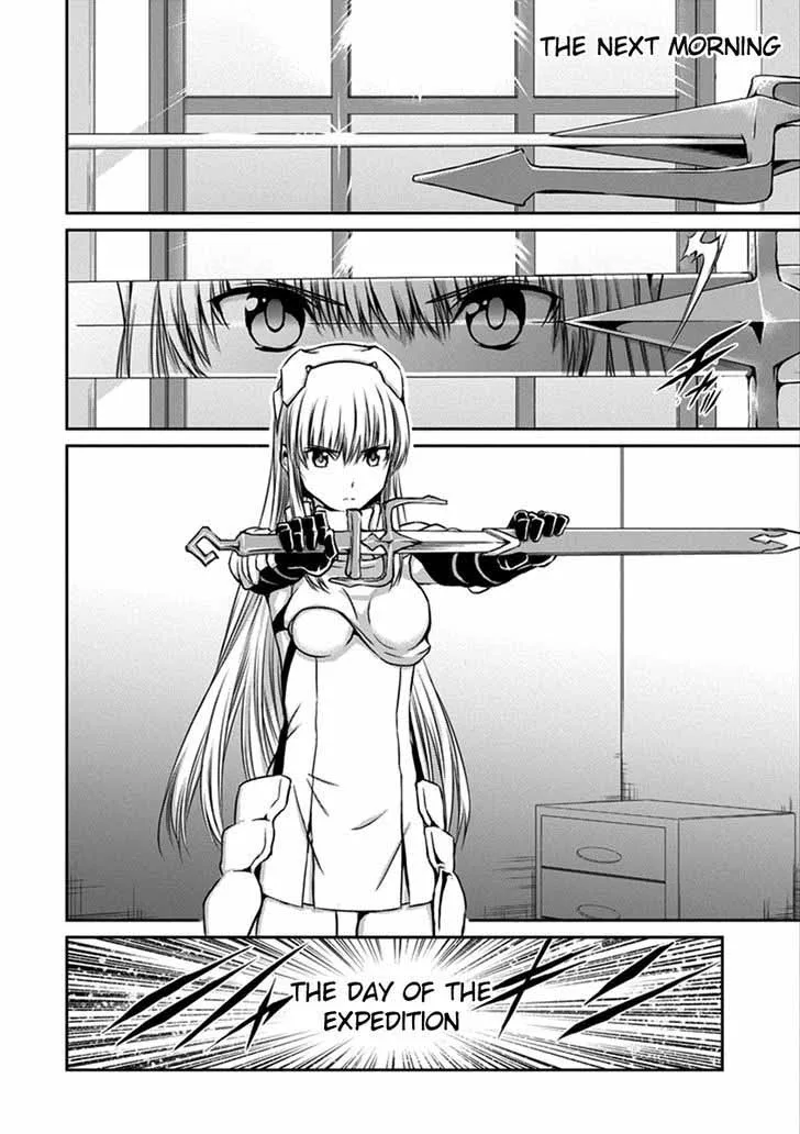 Dungeon ni Deai wo Motomeru no wa Machigatte Iru Darou ka Gaiden - Sword Oratoria Chapter 33 page 17