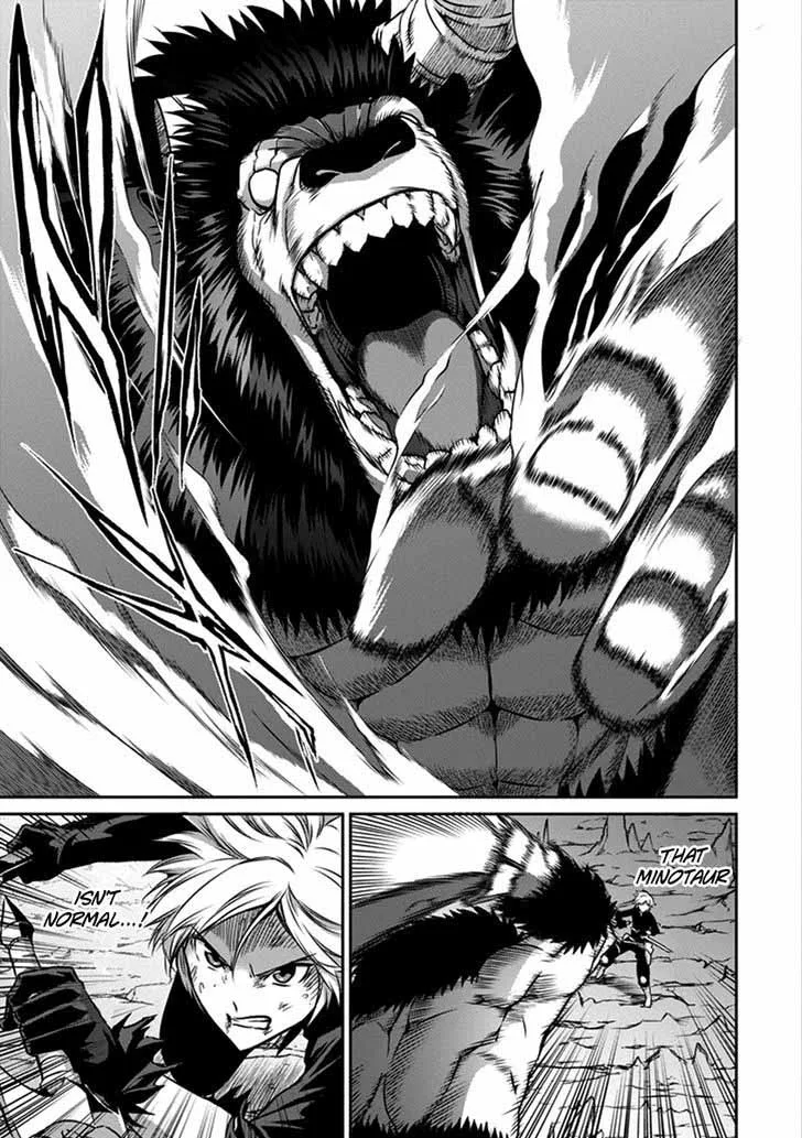Dungeon ni Deai wo Motomeru no wa Machigatte Iru Darou ka Gaiden - Sword Oratoria Chapter 35 page 21