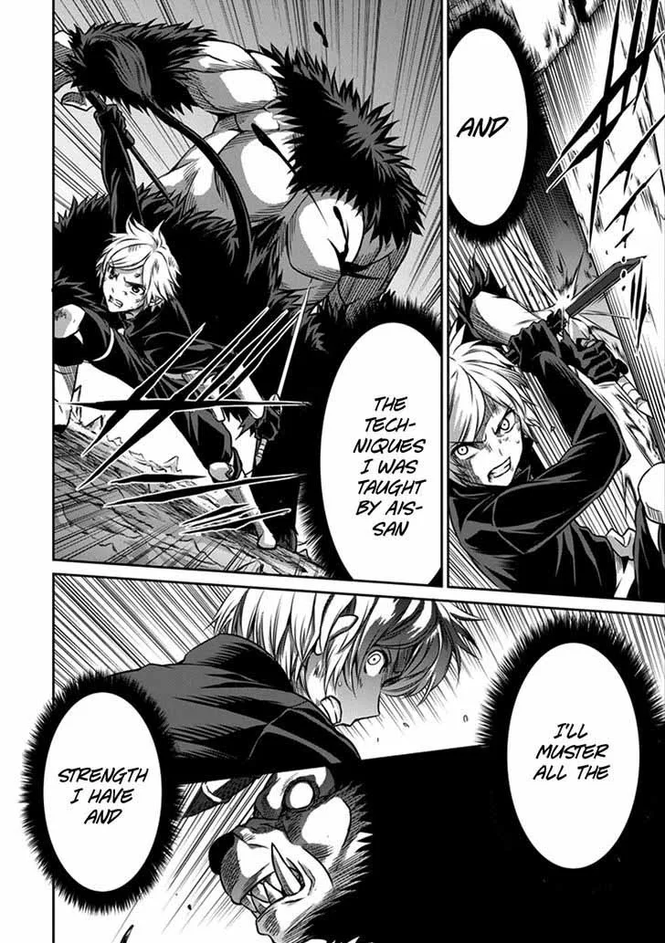 Dungeon ni Deai wo Motomeru no wa Machigatte Iru Darou ka Gaiden - Sword Oratoria Chapter 35 page 10