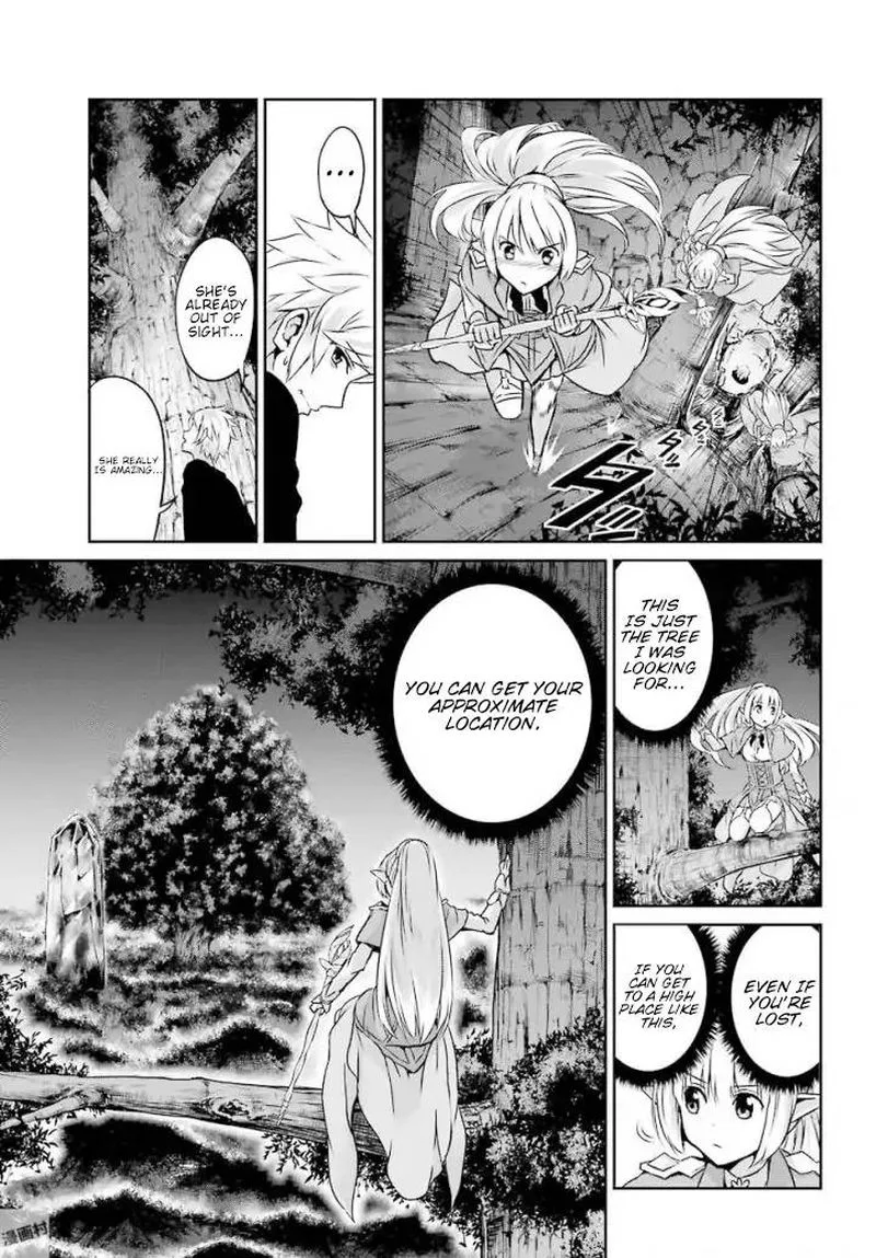 Dungeon ni Deai wo Motomeru no wa Machigatte Iru Darou ka Gaiden - Sword Oratoria Chapter 46 page 15