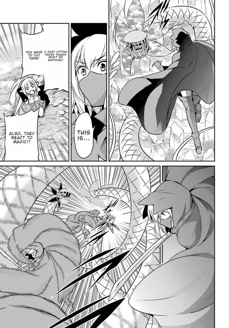 Dungeon ni Deai wo Motomeru no wa Machigatte Iru Darou ka Gaiden - Sword Oratoria Chapter 47 page 22