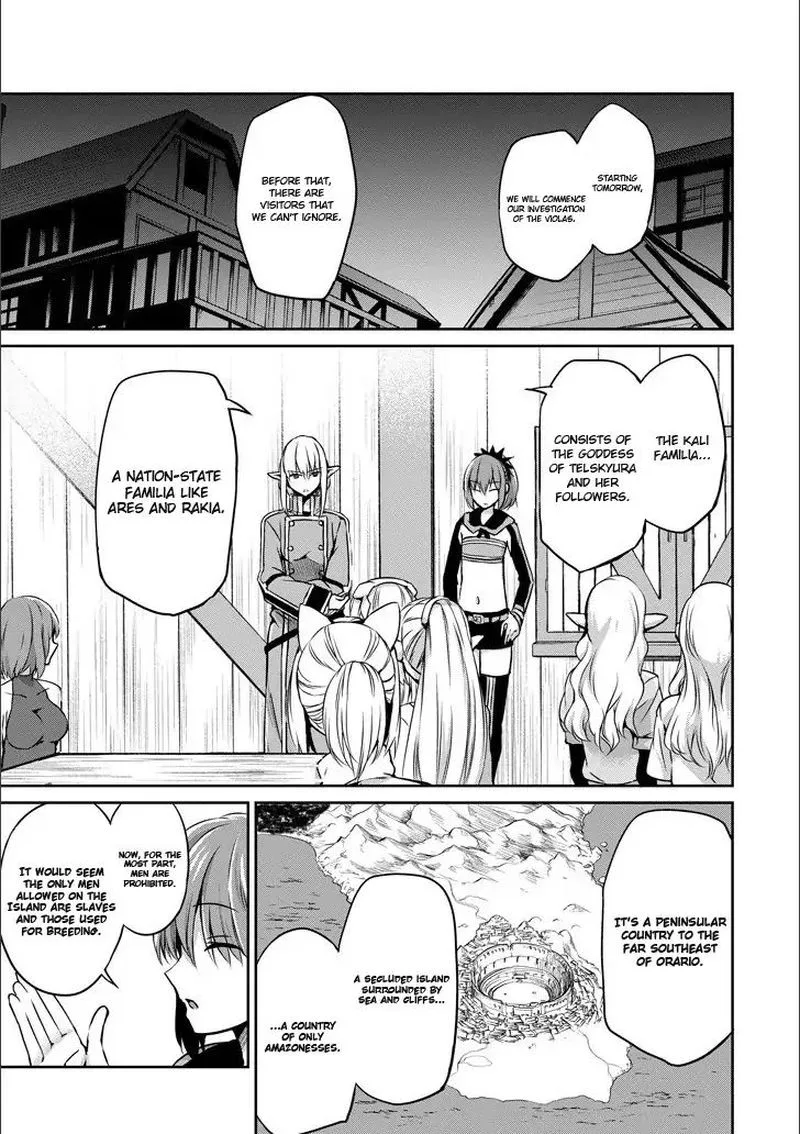 Dungeon ni Deai wo Motomeru no wa Machigatte Iru Darou ka Gaiden - Sword Oratoria Chapter 50 page 3